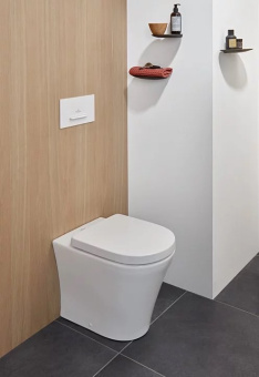 Villeroy & Boch Kлавиша смыва Viconnect 300S, Смыв с 2 объемами, Белая 92218068