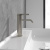Villeroy & Boch Dawn Смеситель для раковины, Brushed Nickel TVW10610315264
